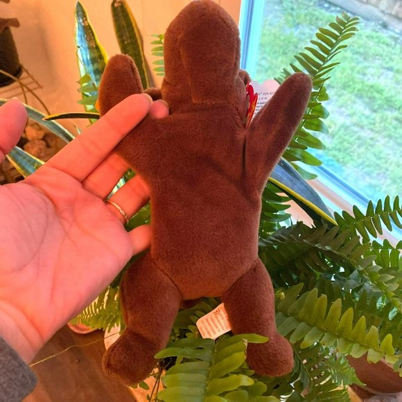 Rare Ty Beanie Baby -  Chocolate the Moose - Style Number #04015 - Picture 7 of 8